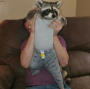 Meet your Posher, Chelle